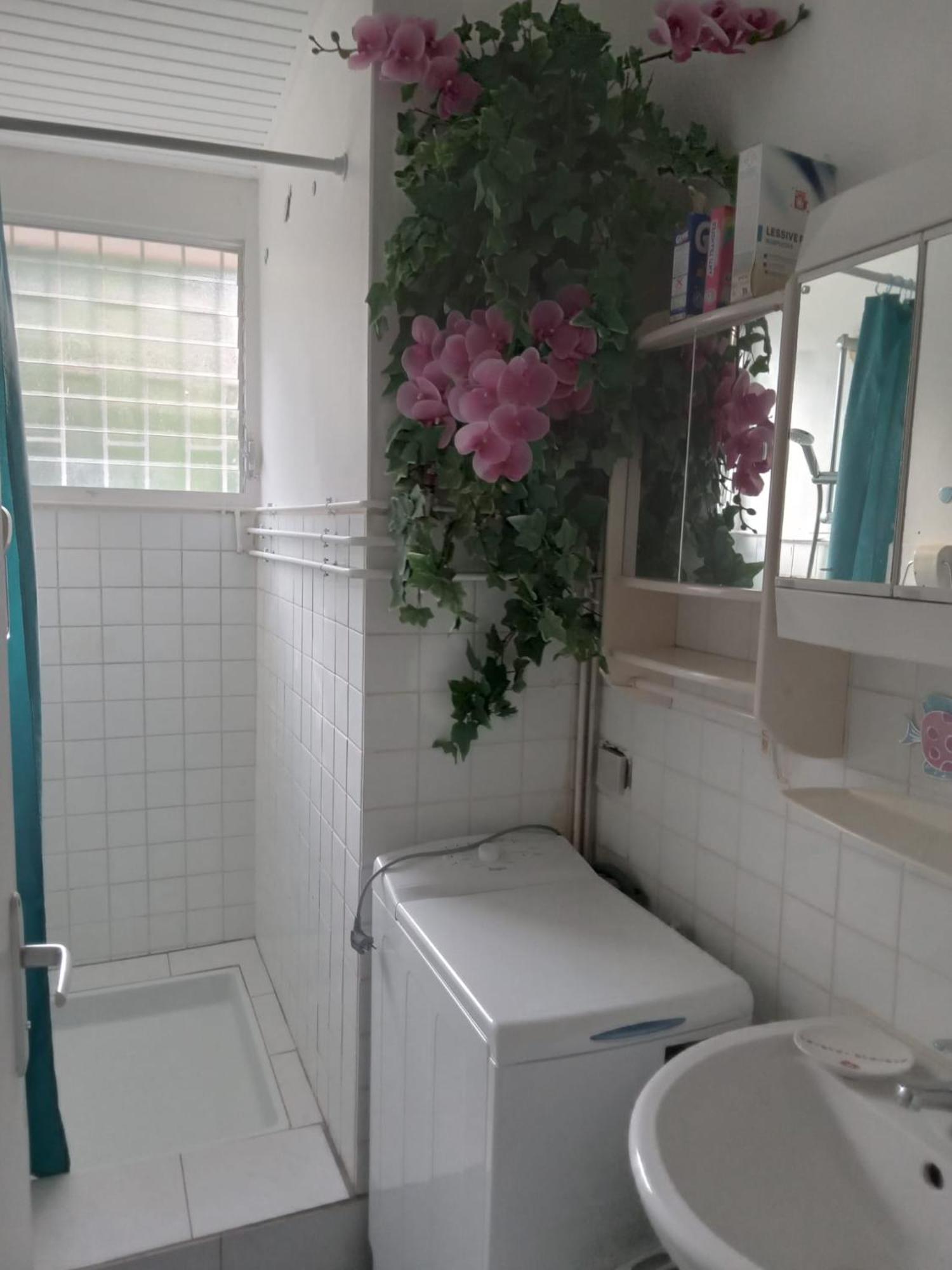 Les Orchidees Apartman Sainte-Anne Kültér fotó